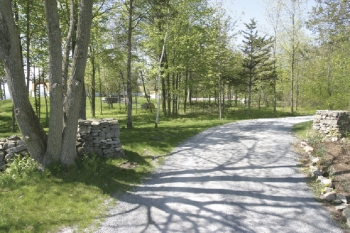 Seventh Heaven: Creating a Healthy Home Image